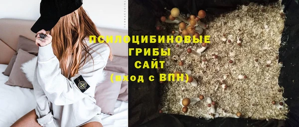 хмурый Ступино