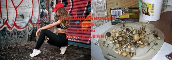 синтетический гашиш Струнино